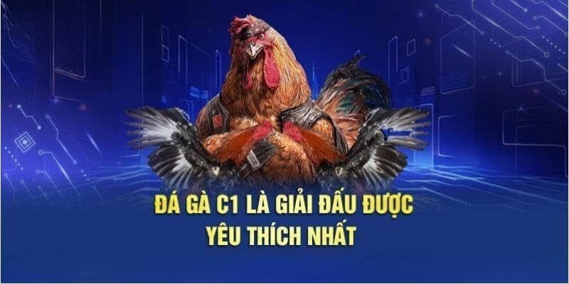 Thưởng thức các trận thi đấu giữa chiến kê siêu máu lửa